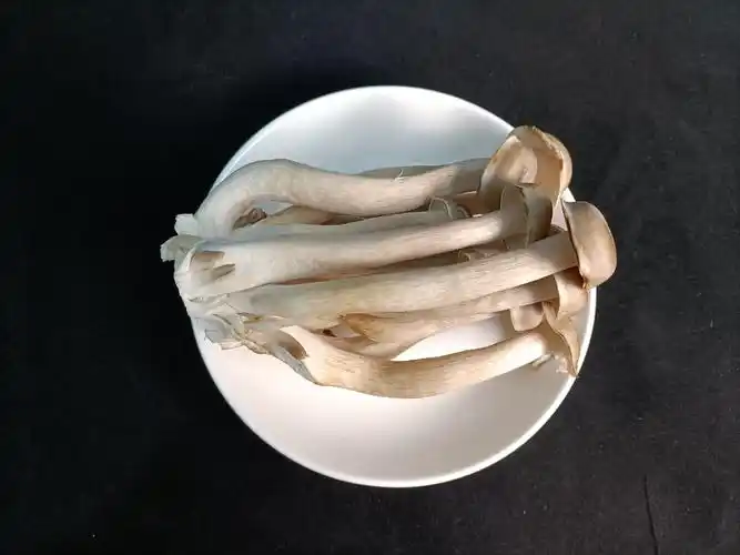 新鲜鹿茸菌纯色背景黑色背景菌菇抠图素材