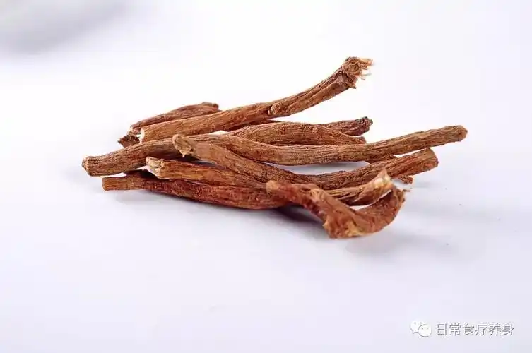 党参味甘性平入脾兼备补中益气和健脾益肺之功效