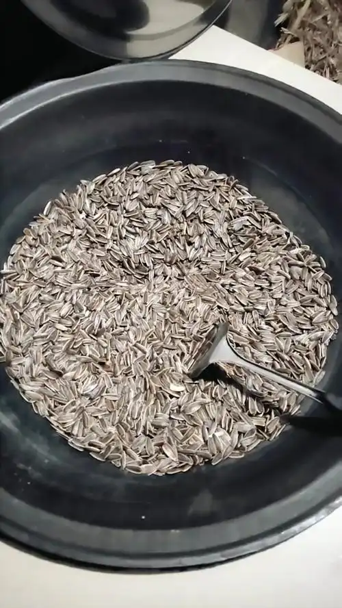 东北的大铁锅炒瓜子.