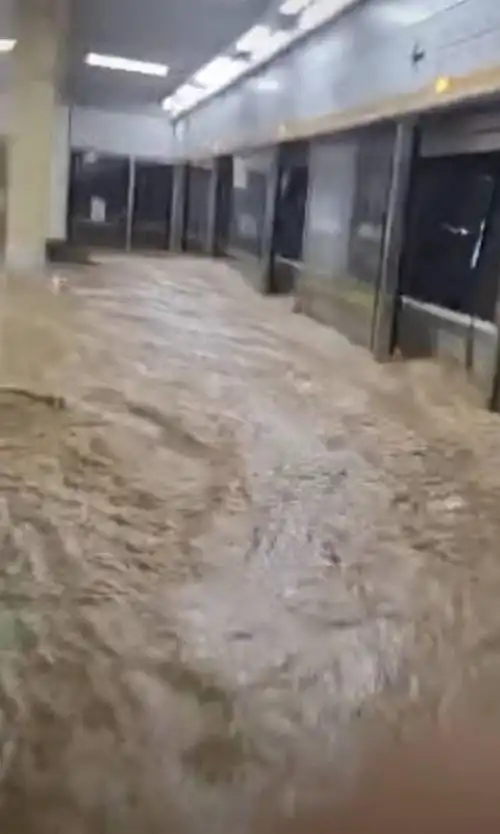 郑州暴雨大水倒灌进地铁站,多站点停运!工作人员称正在维修