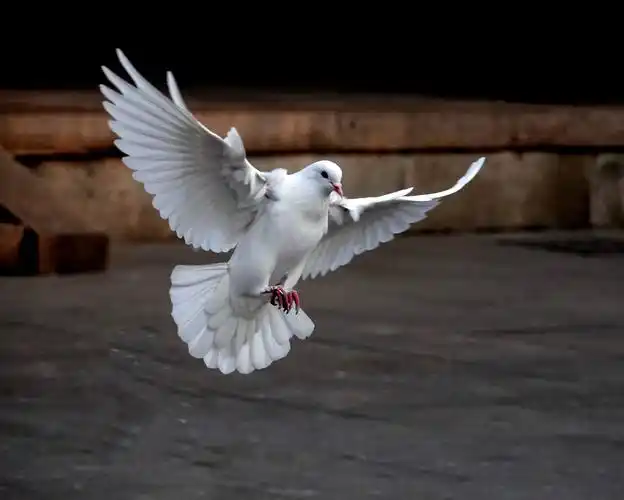 281【东方摄会】6-10群摄影作品展