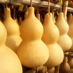 葫芦大号特大巨型招财