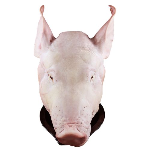 猪头芃大食品新鲜4500g整个9斤带骨其它