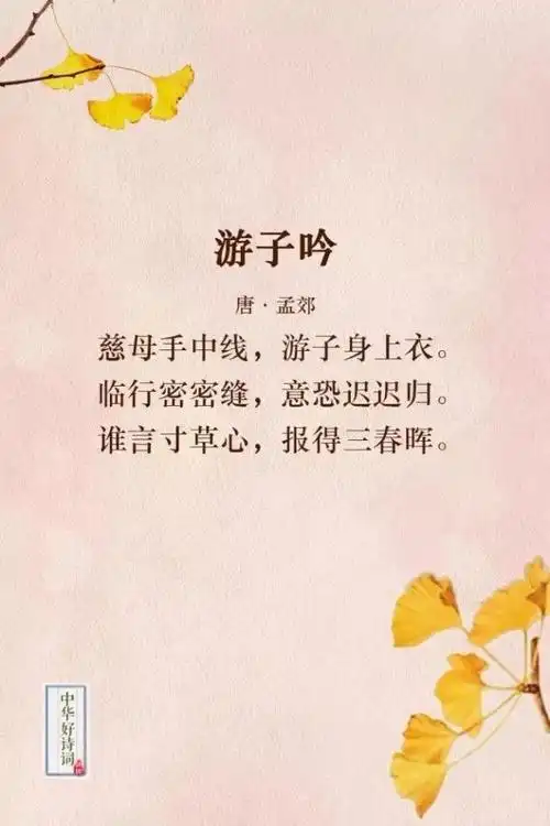 含蓄表达感谢的诗句(含蓄表达感谢的诗句有哪些)