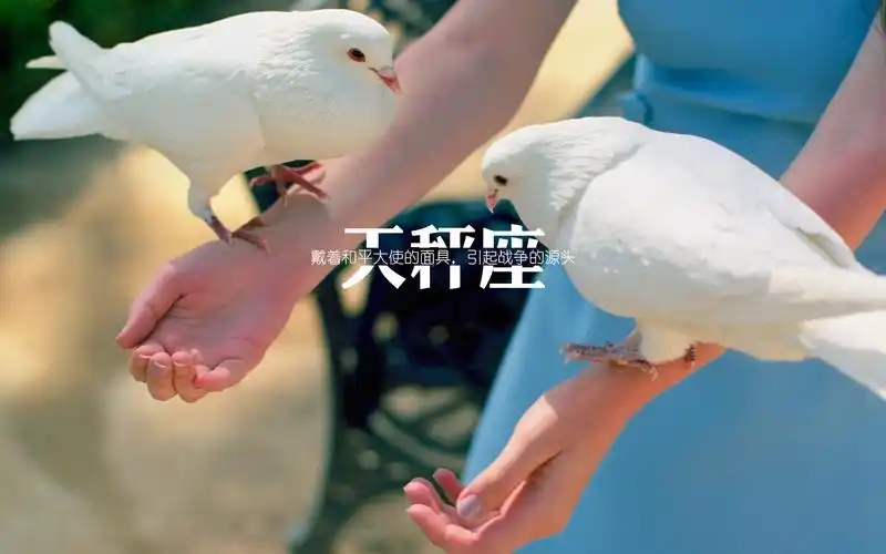 天秤座创意文字图片桌面壁纸 创意设计,创意图片,文字图片,星座图片