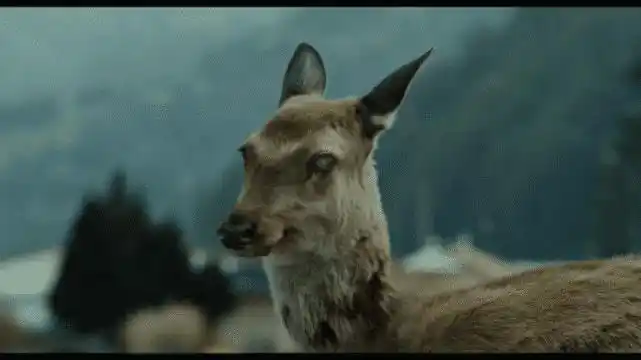 朊病毒背后的真相