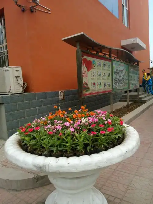 北校在校园重点部位布置了花坛,让盛开的鲜花装扮校园美化校园,让校园