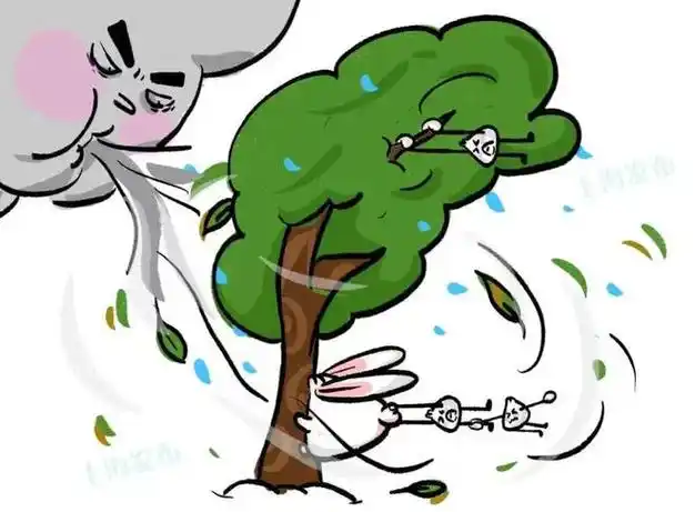 【出行提示】大风天气开车注意事项!|风力|横风|短时强降水_网易订阅