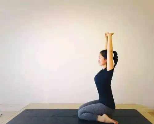 瑜伽基础后弯序列,非常适合初学者练习!