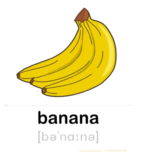 剑桥少儿英语启蒙单词卡片教学闪卡