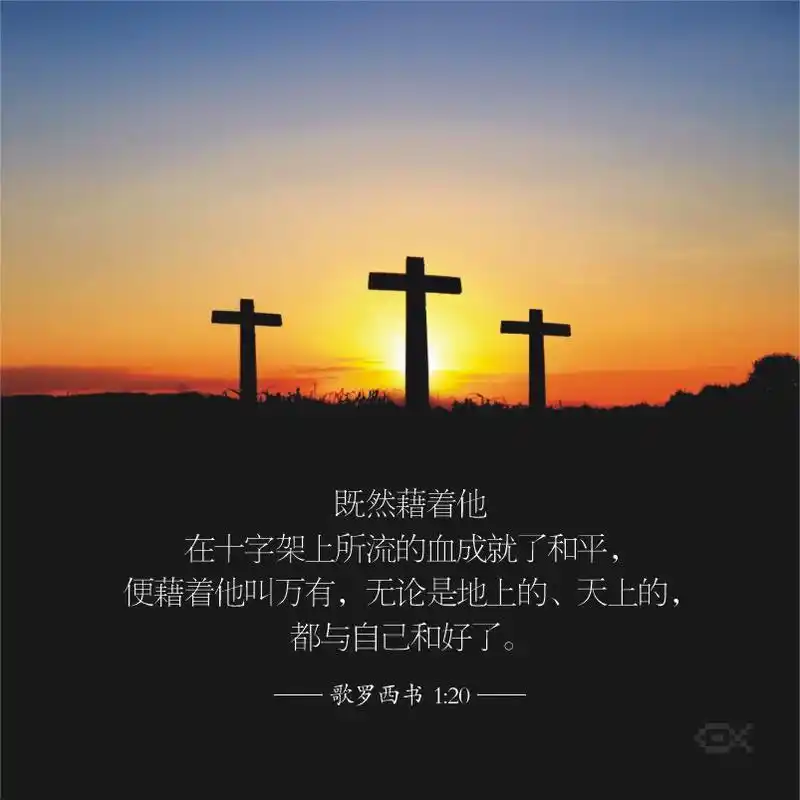 圣经金句 ‖ 藉着他在十字架上所流的血成就了和平