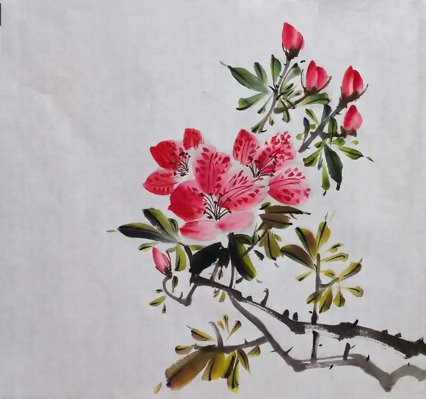 国画小写意杜鹃花#画画练习打卡 #水墨写意  - 抖音