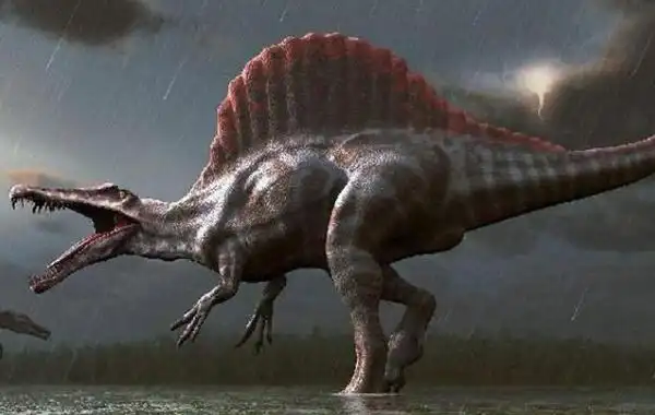 四,水陆最强恐龙:棘龙