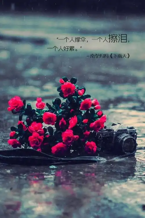 是我太过天真,看不透世态炎凉