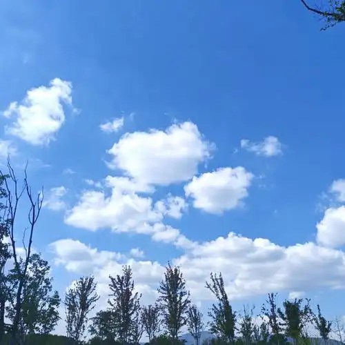 天空是什么样的颜色