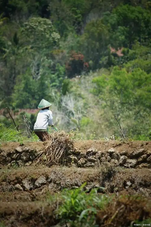 对于农村,就算种地不挣钱农民也要种,图啥?