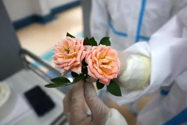 "今天上午9时30分左右,静安区市北医院老年康复科主任舒锦,护士长傅怡