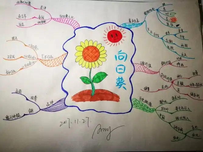 第五次    再实践:一朵普通的向日葵,原来里面的知识也不少啊!