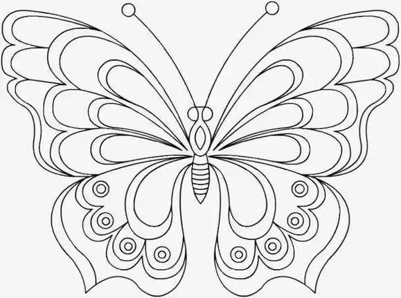 对称图案简笔画动物