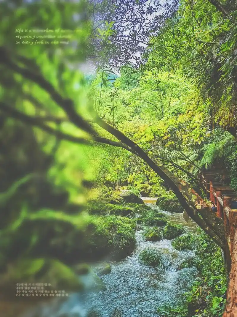 随手拍 赤水竹海97 ,丹霞佛光岩景区  #一片静谧的室外 - 抖音