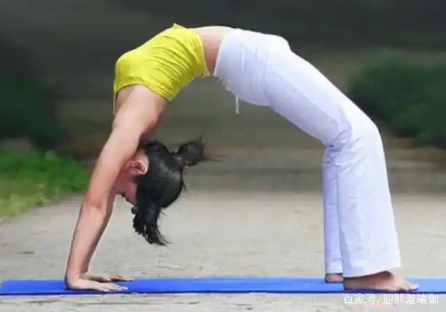 如何通过瑜伽来练成下腰?这些体式要多练,轻松提升腰部柔韧度