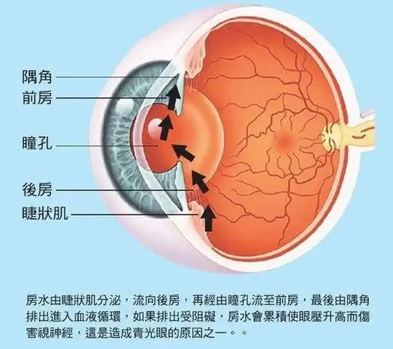 一个案例揭示了近视眼发生的机理开启近视防控新思路