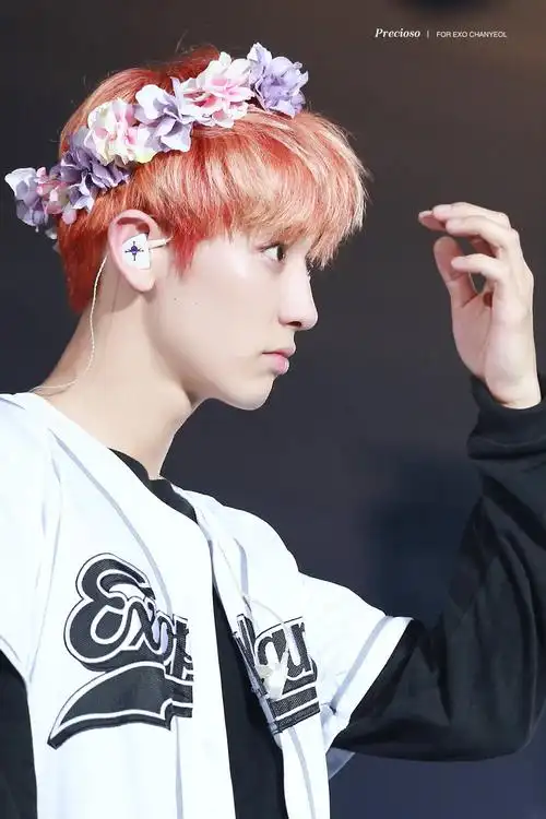 朴灿烈160729theexordium首尔演唱会