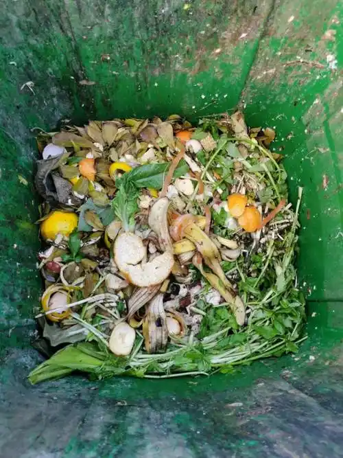 厨余垃圾到位,可以变废为宝,生成酵素和肥料,造福人类!