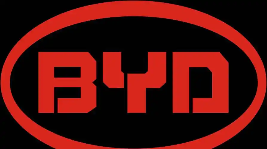 一眼看过去就能认得出来,好记,另外比亚迪的王朝系列车标非常具有中国