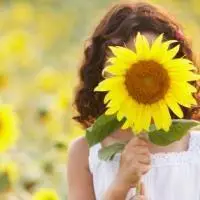 背景微信头像向日葵【点击鼠标右键下载】