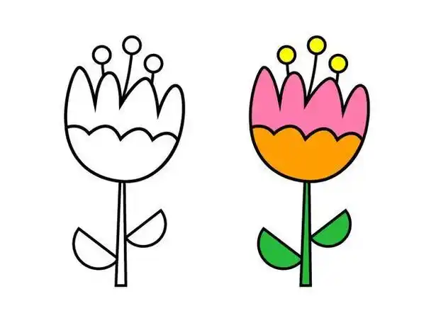 五瓣花简笔画图片带颜色牵牛花简笔画图片大全牵牛花简笔画涂色牵牛花