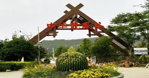 绵阳盐亭周边好去处 且看中华龙凤谷