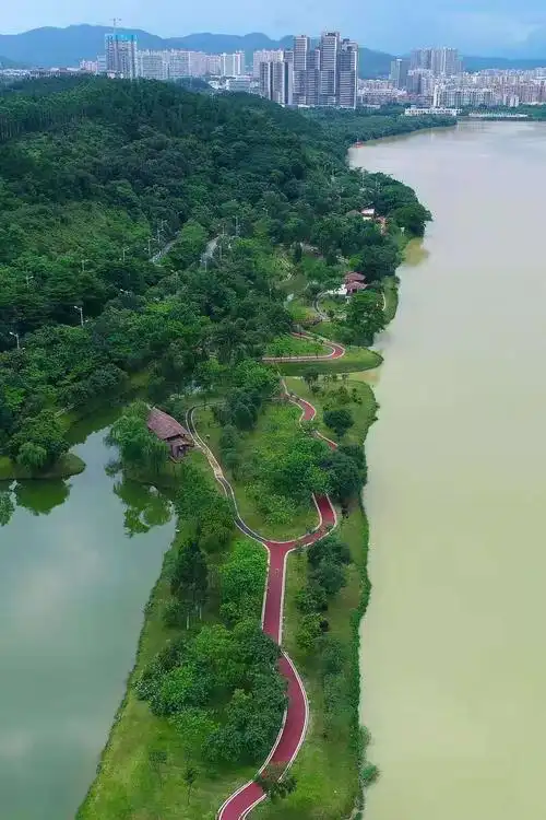 【05.30 小骑士】追风少年,勇往直前!——增江画廊亲子骑行之旅(可单