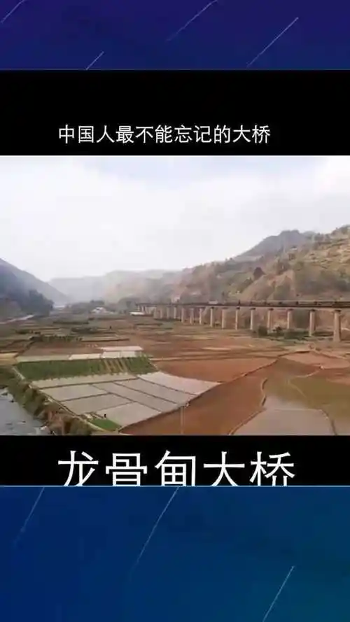 祖国不会忘记龙骨甸大桥