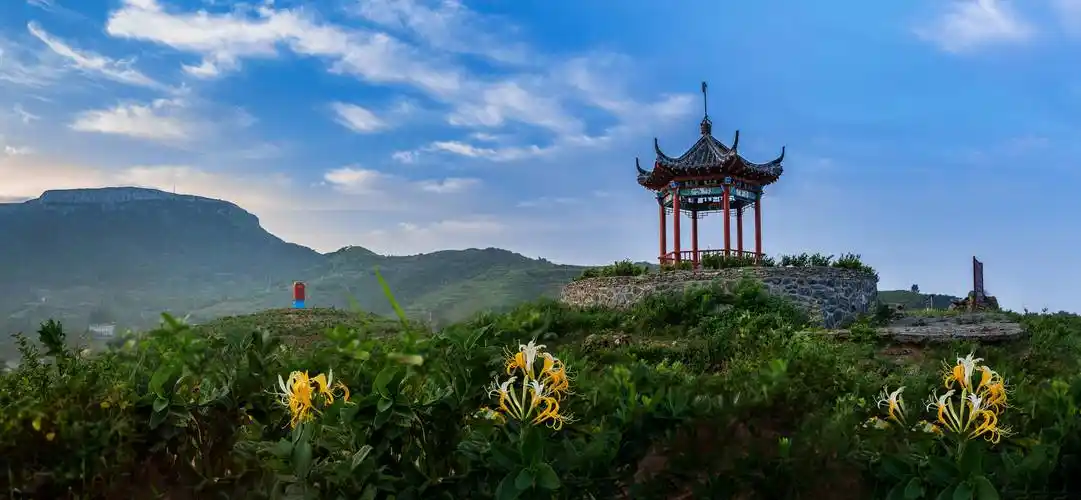 67山东平邑凝心聚力绘美景乡村蝶变焕新颜