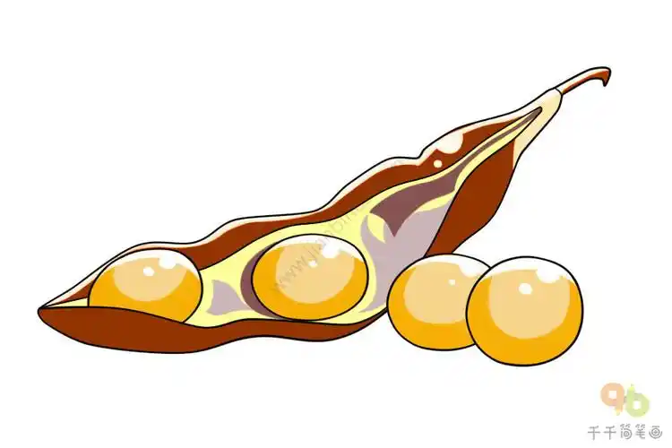 豆荚黄豆简笔画