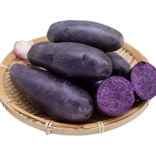 黑金刚土豆 土豆种子 紫土豆洋芋 非紫薯 新鲜现挖5斤简装包邮