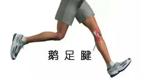 跑步的痛,你领悟了吗?