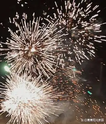 父亲在农村办生日酒席,要放两三万元的烟花礼炮,作为儿女的你们会怎么