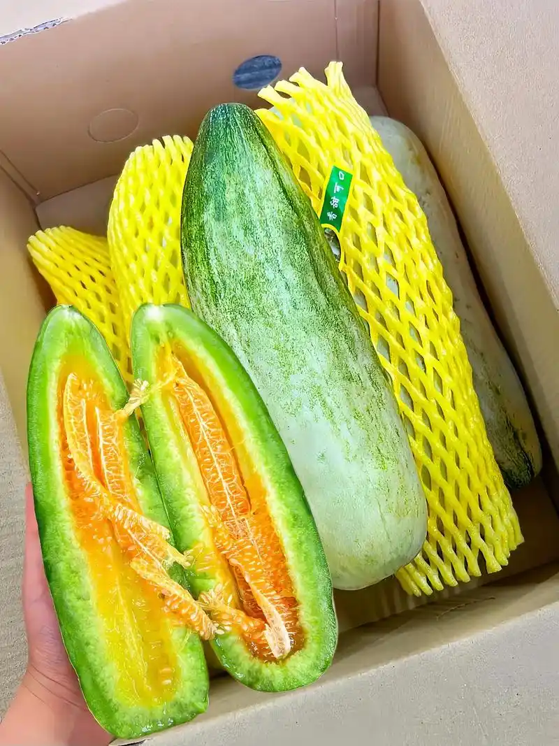 春天的第一口羊角蜜甜瓜