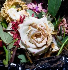 枯萎的白玫瑰和其他花在垃圾桶里.干燥的花和叶子.