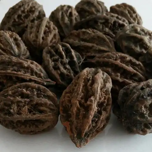 野生核桃 纯天然大额优惠券