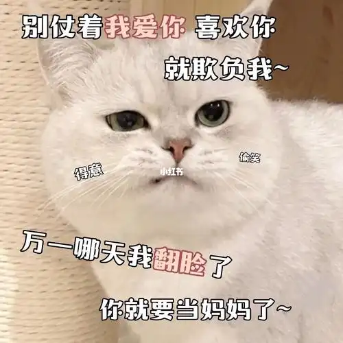 猫咪表情包  #猫咪  #表情包  #表情包分享  #可爱的表情包  #发给