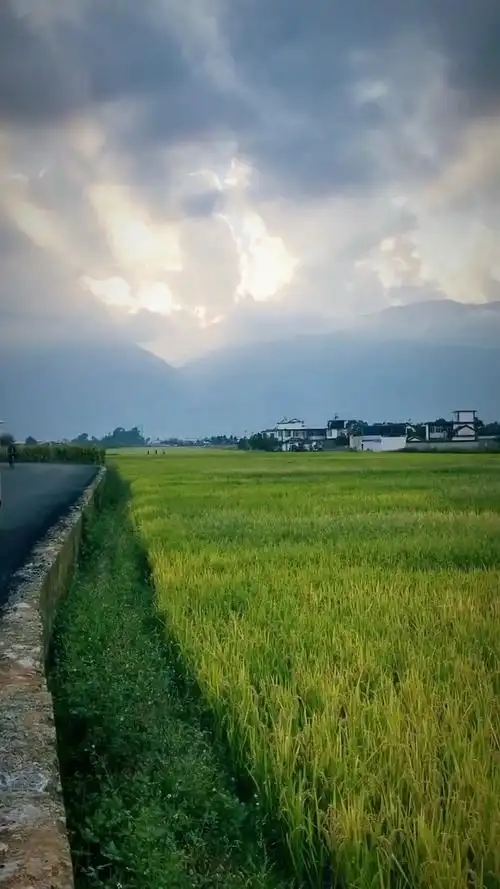 迈着悠闲自在的步伐懒散地晃荡在乡间的小路上