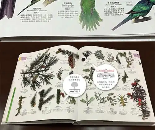 中文版 精装 dk科普百科自然百科全书 博     图书名称:dk博物大百科