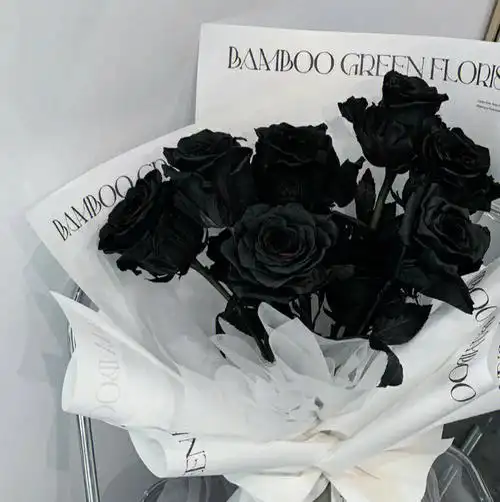 qq背景图黑玫瑰