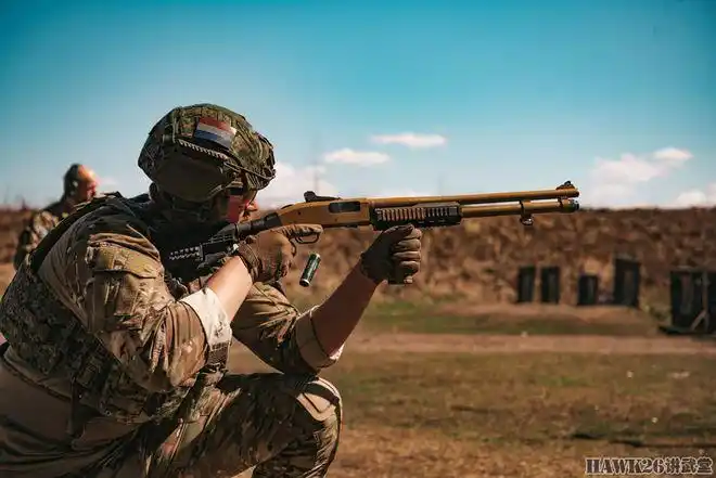 荷兰陆军霰弹枪破门训练 莫斯伯格m590出镜 解读背后的冷门知识