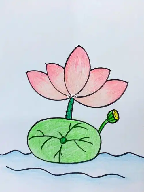 圆形画荷花#简笔画  #简笔画教程  #一起学画画  #荷花  #简单易学