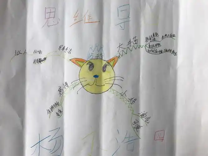 四年级七班第十二期优秀作品展—猫思维导图