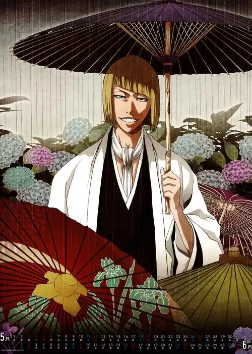 5月10日是「死神」平子真子的生日  9